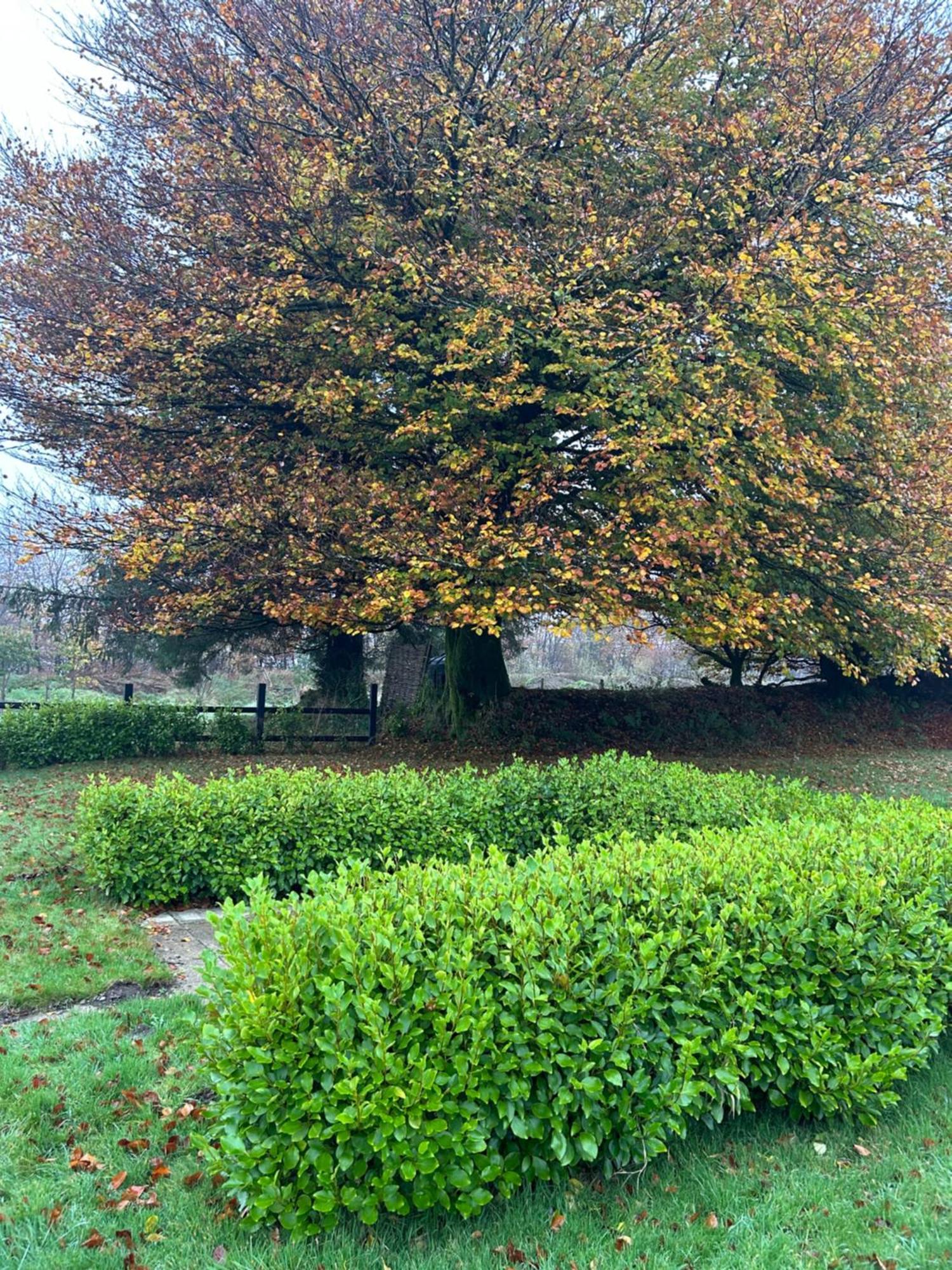Winstitchen Situated Near The River Barle Simonsbath